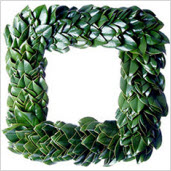 Fresh Green Magnolia Square Wreath