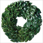 Fresh Green Magnolia Wreath