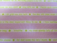 Receiving Blanket Pink/Green Double Thick