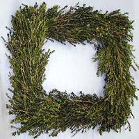 Preserved Wreath Lepto Square